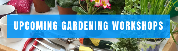 Small Space Gardening Workshops in London