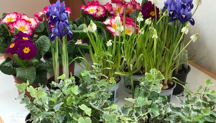 Small Space Gardening Workshops in London