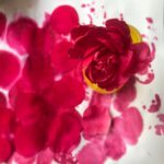 small flower making at The goodlife centre